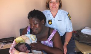 Ooievaar land in Polisiekantoor